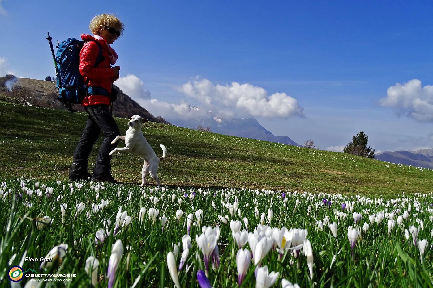 30 Prati invasi dai crocus .JPG -                                